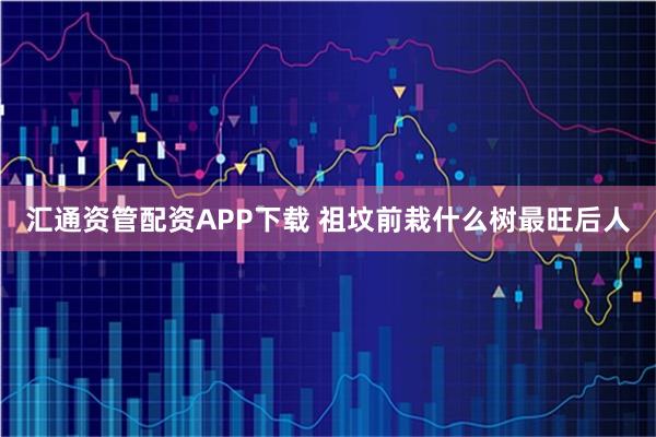 汇通资管配资APP下载 祖坟前栽什么树最旺后人