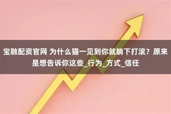宝融配资官网 为什么猫一见到你就躺下打滚？原来是想告诉你这些_行为_方式_信任